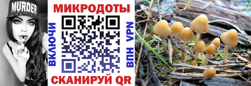 Галлюциногенные грибы Psilocybe  Купить  Кызыл 